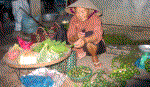 Nhọc nhằn cảnh già mưu sinh