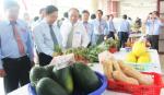 Hoạt động của Hội Nông dân cần thiết thực, giúp nông dân làm giàu
