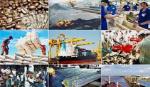 Nghị quyết của Chính phủ tháo gỡ khó khăn cho sản xuất kinh doanh