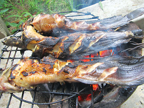 Món trê đồng nướng này phải dằm nước mắm pha: nước nóng, rau răm giã nhuyễn với tỏi, ớt, đường, chanh mới đúng điệu. 