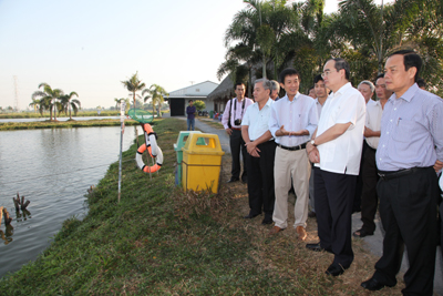 Phó Thủ tướng thăm trang trại nuôi cá tra xuất khẩu của công ty NTACO tại ấp Long Hưng, xã Mỹ Thới, Long Xuyên, An Giang. - Ảnh: VGP/Từ Lương