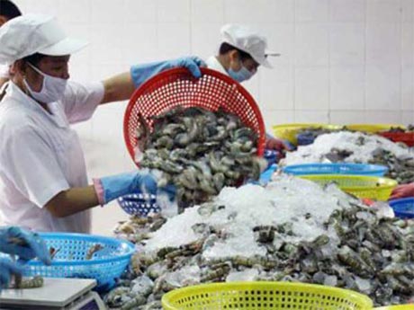 Vụ kiện chống phá giá và trợ cấp nhằm vào mặt hàng tôm nước ấm đông lạnh của Việt Nam. 