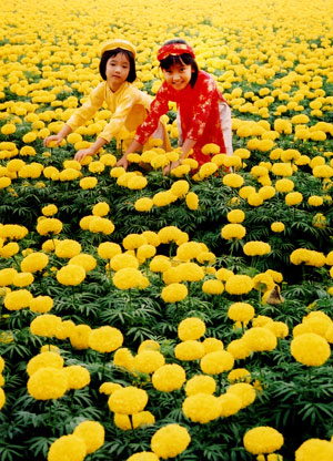 Ảnh minh họa. Ảnh Như Lam