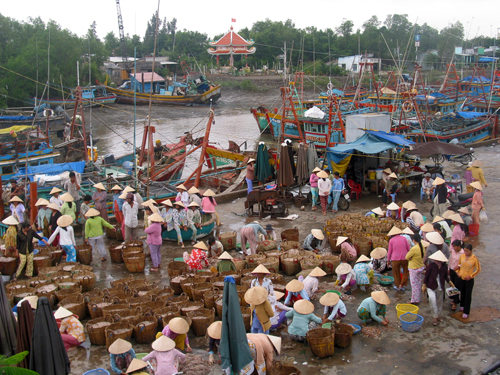 Cảng cá Vàm Láng có rất nhiều tàu thuyền đánh bắt hải sản.