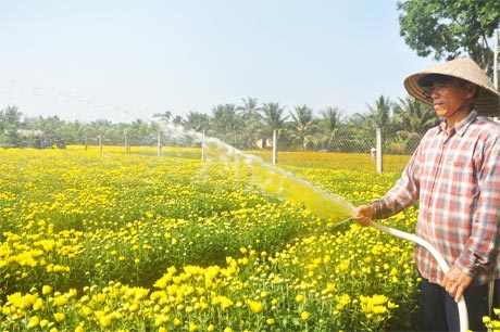 Ông Trương Văn Nhung tranh thủ tưới hoa.