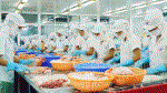 Việt Nam lần đầu xuất siêu cả năm sau gần 2 thập kỷ