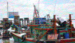 Ngư dân Gò Công ra khơi đánh bắt đầu năm