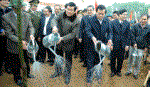 Chủ tịch nước phát động Tết trồng cây năm 2013