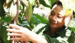 Cựu chiến binh cùng nhau vượt khó, thoát nghèo
