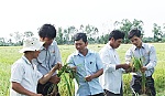 Phát huy vai trò đội ngũ trí thức, góp phần xây dựng nông thôn mới