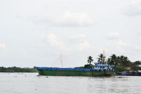 Ảnh minh họa. Ành: Vân Anh