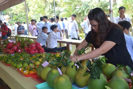 Điệp khúc 