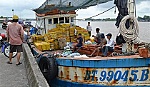 Quy hoạch phát triển hệ thống thông tin duyên hải Việt Nam