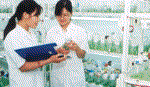 Cần sớm khởi động ứng dụng với cây trồng sinh học