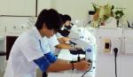 Khoa học Việt Nam đứng trước cơ hội chưa từng có