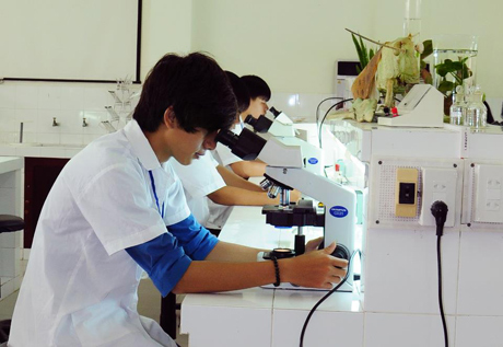 Ảnh minh họa Như Lam.