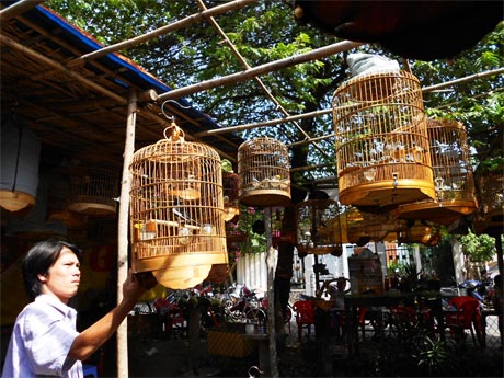 Anh Tuấn bên một góc sinh hoạt của những người yêu thích chim cảnh.