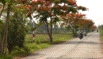 Tân Phú Đông - Những đổi thay sau 5 năm phát triển