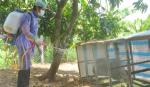 Quyết liệt thực hiện các biện pháp phòng, chống các loại cúm gia cầm