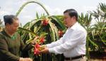 Phát huy tốt điển hình, nhân tố mới trong học tập và làm theo Bác