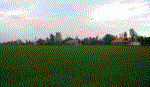 Tháng Tư về xã Bình Ninh anh hùng