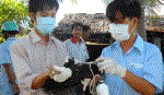 Phần mềm cảnh báo dịch bệnh của Việt Nam