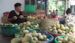 Sa pô lên ngôi, nhà vườn tính chuyện lâu dài
