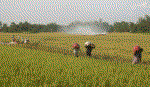 Đầu tư gần 16 tỷ đồng nâng cấp, cải tạo hệ thống dẫn nước ngọt