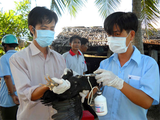 Ảnh: khoahoc.com.vn