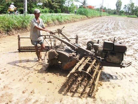 Nông dân làm đất chuẩn bị xuống giống ở Gò Công Tây.
