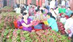 6 tháng đầu năm 2013: Xuất, nhập khẩu hàng hóa đều tăng