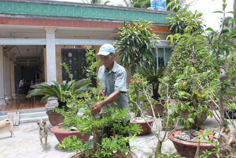 Đời sống người dân Thành Công ngày càng phát triển (Ông Nguyễn Hồng Nhung chăm sóc cây kiểng trong ngôi nhà khang trang)