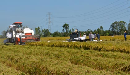 nâng cao giá trị gia tăng, tăng thu nhập cho người nông dân