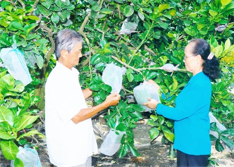 Gia đình ông Lê Thành Lạc (xã Long Hòa, TX. Gò Công).