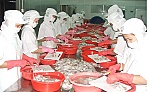 Tìm giải pháp gỡ nút thắt về vốn cho doanh nghiệp ĐBSCL