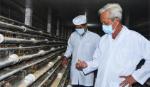 Ông Lê Minh Khánh, PGĐ Sở NN&PTNT: Cẩn trọng trước dịch cúm A/H5N1