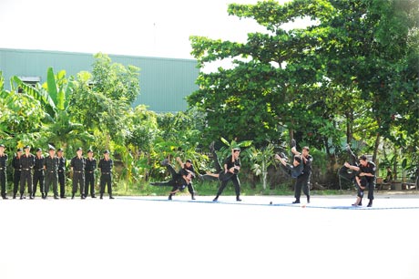 Luyện tập võ thuật.