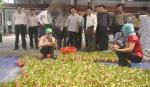 Đoàn Ban Kinh tế TW thăm, làm việc tại Công ty CP Rau quả TG
