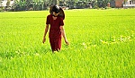 Cai Lậy: Xây dựng nông thôn mới, những đổi thay và trọng tâm hướng tới