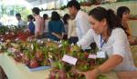 Tái cấu trúc ngành Nông nghiệp: Đừng bỏ lỡ cơ hội của trái thanh long