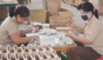 Hy vọng mong manh
