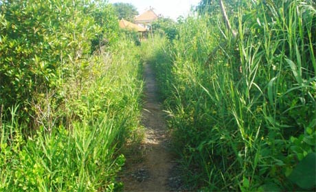 Đường dẫn vào Chiến lũy Pháo Đài.
