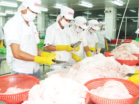 Chế biến thủy sản xuất khẩu đang là lợi thế của Tiền Giang.