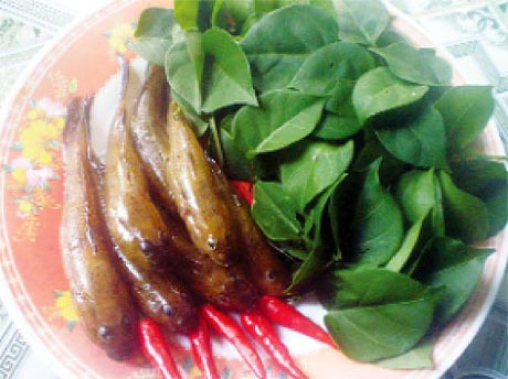 Nguyên liệu nấu canh chua.