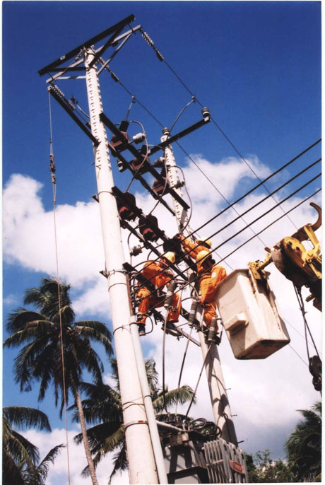 Kiểm tra hệ thống vận hành của lưới điện.