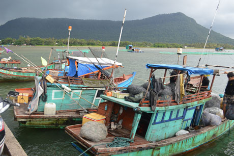 Ảnh minh họa. Ảnh: Như Lam