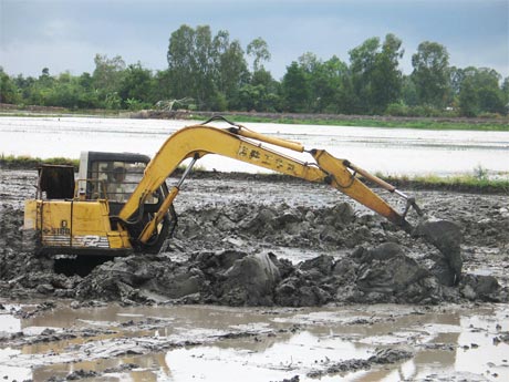 Nông dân ấp 2, xã Thạnh Lộc san lấp ao cá để tái trồng lúa trong vụ đông xuân 2013 - 2014.