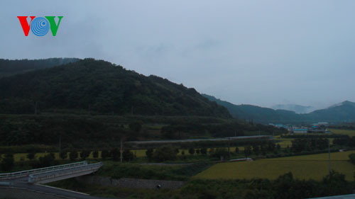 Nông thôn Hàn Quốc hôm nay.