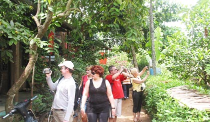 Khách du lịch nước ngoài tham quan vườn cây ăn trái tại khu du lịch Thới Sơn.