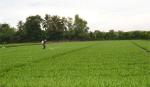 MDEC-Vĩnh Long 2013: Hợp tác toàn diện giữa vùng ĐBSCL và TP. Hồ Chí Minh